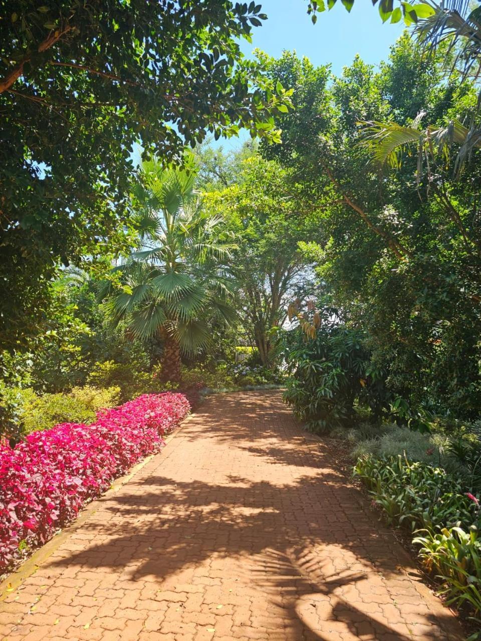 Tzaneen White House Lodge מראה חיצוני תמונה